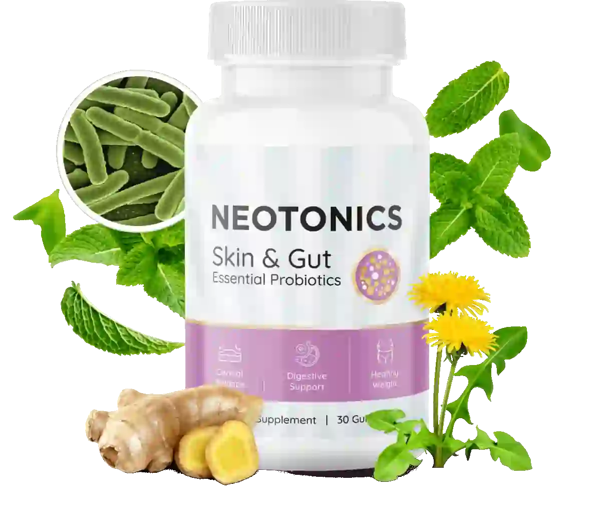 neotonics reviews