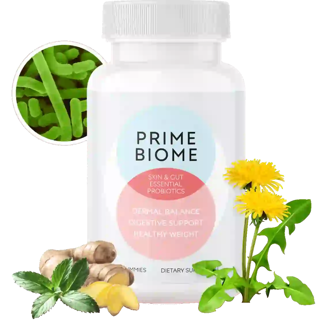 primebiome official website buy online supplement pack