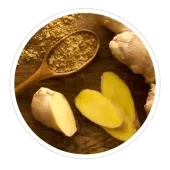 neotonics ingredients organic ceylon ginger