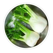 neotonics ingredients fennel